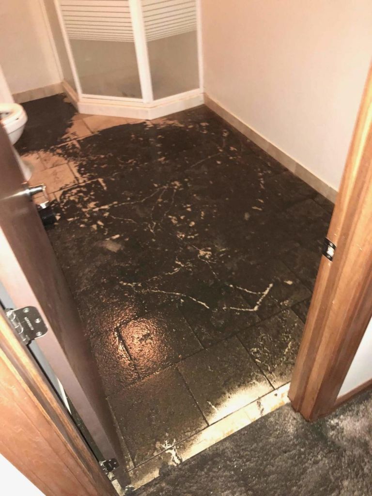 Mold Inspection in Weir, TX (6570)