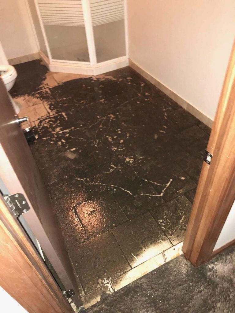 Mold Inspection in Driftwood, TX (9857)