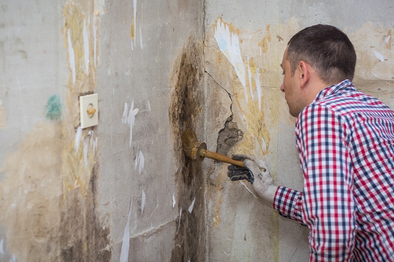 Mold Consultant in Pflugerville, TX (1416)