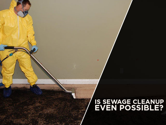 Sewage Inspection in Taylor, TX (7569)