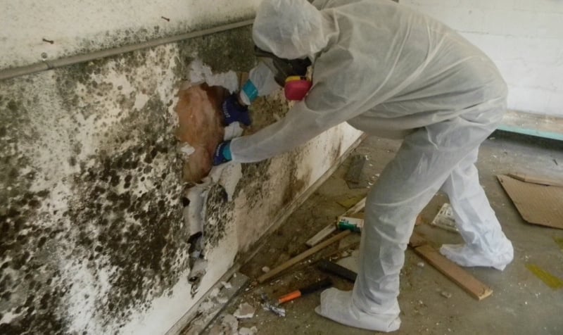 Mold Consultant in Killeen, TX (7671)