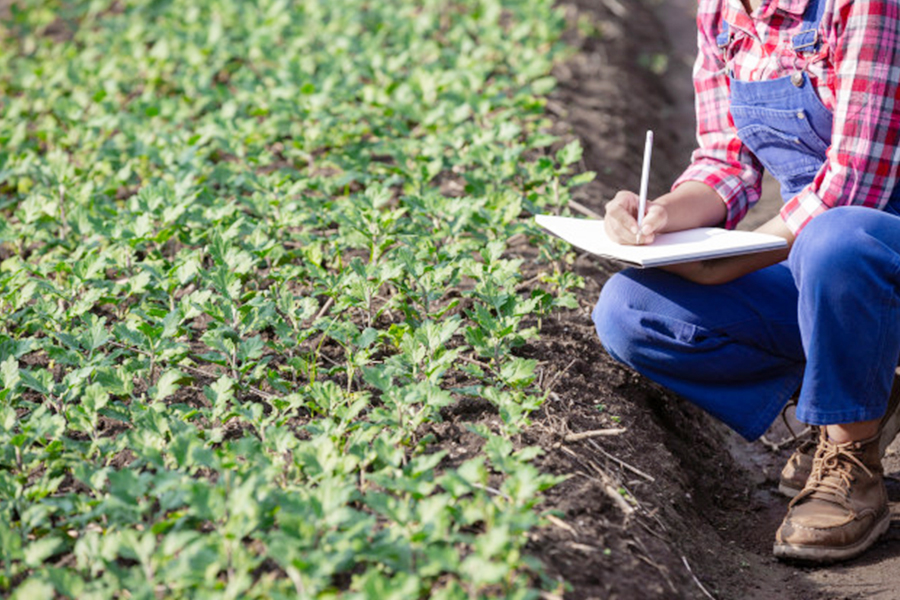 Environmental Consulting in Leon Valley, TX (1479)