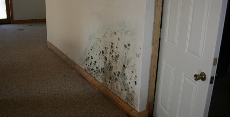 Mold Testing in Moody, TX (3231)