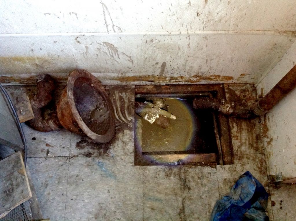 Sewage Testing in Canyon Lake, TX (1286)
